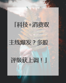科技+消费双主线爆发？多股评级获上调！
