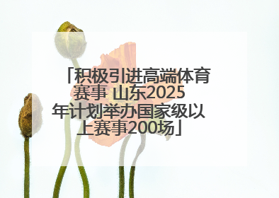 积极引进高端体育赛事 山东2025年计划举办国家级以上赛事200场