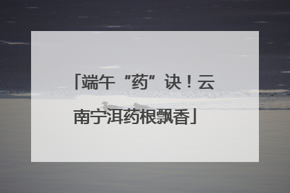 端午“药”诀！云南宁洱药根飘香