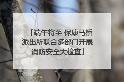 端午将至 保康马桥派出所联合多部门开展消防安全大检查