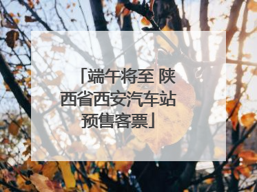 端午将至 陕西省西安汽车站预售客票