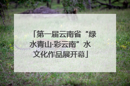 第一届云南省“绿水青山·彩云南”水文化作品展开幕