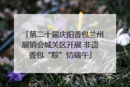 第二十届庆阳香包兰州展销会城关区开展 非遗香包“粽”情端午