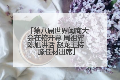 第八届世界闽商大会在榕开幕 周祖翼陈旭讲话 赵龙主持 滕佳材出席
