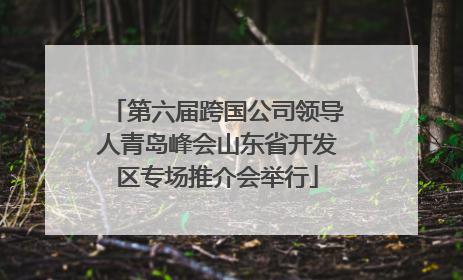 第六届跨国公司领导人青岛峰会山东省开发区专场推介会举行