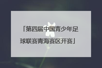 第四届中国青少年足球联赛青海赛区开赛
