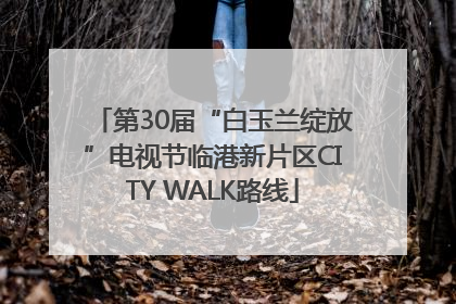 第30届“白玉兰绽放”电视节临港新片区CITY WALK路线