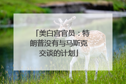 美白宫官员：特朗普没有与马斯克交谈的计划