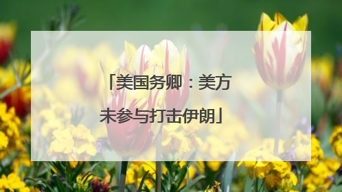 美国务卿：美方未参与打击伊朗