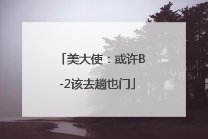 美大使：或许B-2该去趟也门