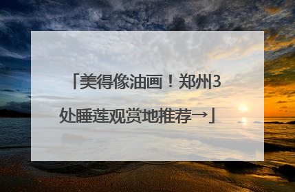 美得像油画！郑州3处睡莲观赏地推荐→