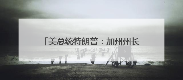 美总统特朗普：加州州长和洛杉矶市长“无能”