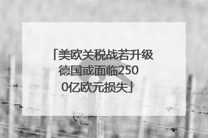 美欧关税战若升级 德国或面临2500亿欧元损失