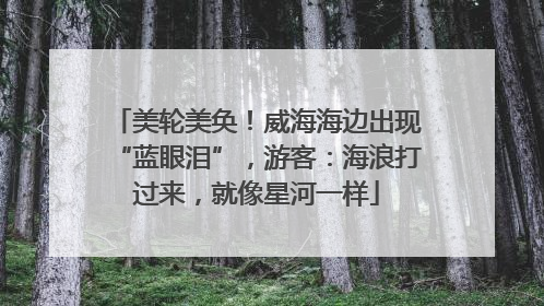 美轮美奂！威海海边出现“蓝眼泪”，游客：海浪打过来，就像星河一样