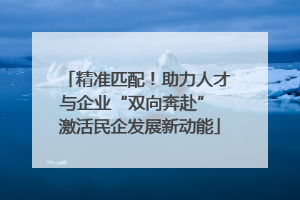精准匹配！助力人才与企业“双向奔赴” 激活民企发展新动能