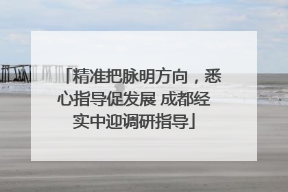精准把脉明方向，悉心指导促发展 成都经实中迎调研指导
