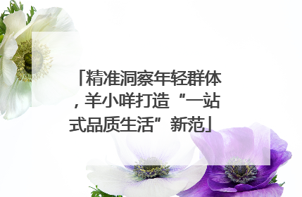 精准洞察年轻群体，羊小咩打造“一站式品质生活”新范