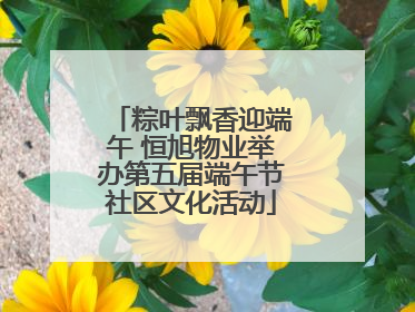 粽叶飘香迎端午 恒旭物业举办第五届端午节社区文化活动