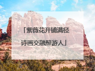 紫薇花开铺满径 诗画交融醉游人