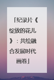 纪录片《绽放的花儿》：共绘融合发展时代画卷