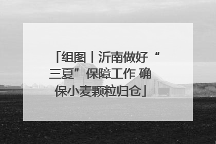 组图丨沂南做好“三夏”保障工作 确保小麦颗粒归仓