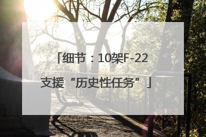细节：10架F-22支援“历史性任务”