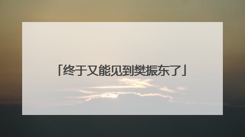 终于又能见到樊振东了