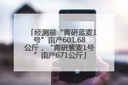 经测量“青研蓝麦1号”亩产601.68公斤，“青研紫麦1号”亩产671公斤