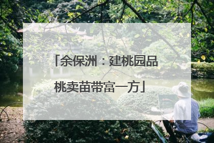 余保洲：建桃园品桃卖苗带富一方