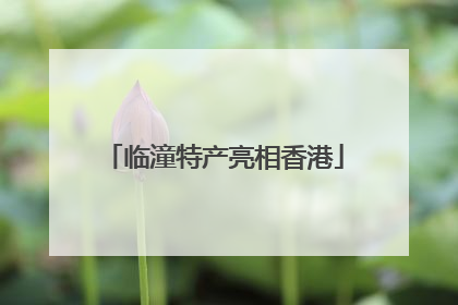 临潼特产亮相香港