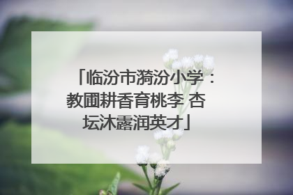 临汾市漪汾小学：教圃耕香育桃李 杏坛沐露润英才