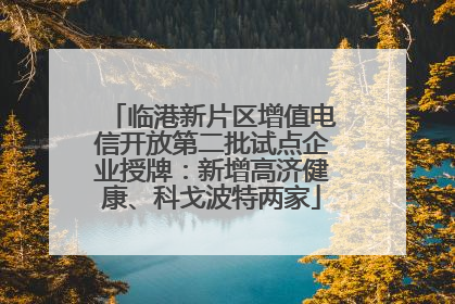 临港新片区增值电信开放第二批试点企业授牌：新增高济健康、科戈波特两家