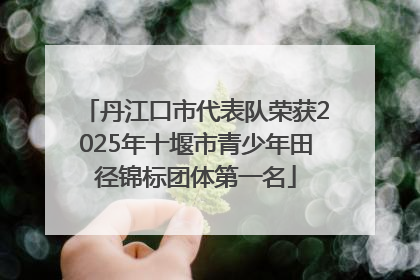 丹江口市代表队荣获2025年十堰市青少年田径锦标团体第一名