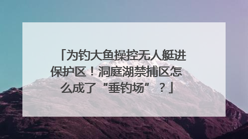为钓大鱼操控无人艇进保护区！洞庭湖禁捕区怎么成了“垂钓场”？