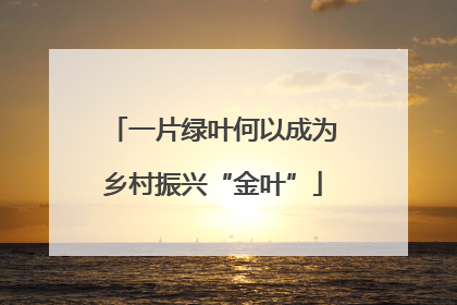 一片绿叶何以成为乡村振兴“金叶”