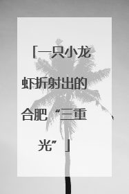 一只小龙虾折射出的合肥“三重光”