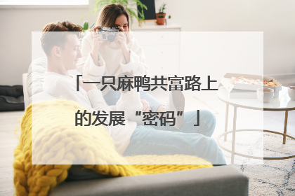 一只麻鸭共富路上的发展“密码”