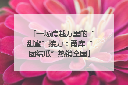 一场跨越万里的“甜蜜”接力：甬库“团结瓜”热销全国