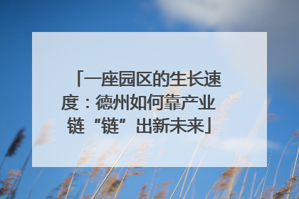 一座园区的生长速度：德州如何靠产业链“链”出新未来