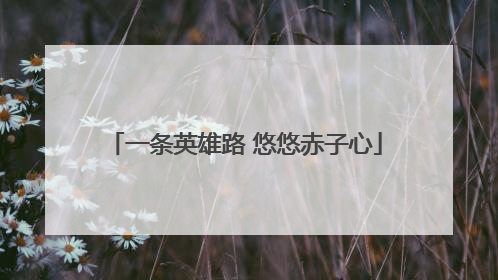 一条英雄路 悠悠赤子心