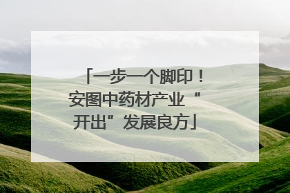 一步一个脚印!安图中药材产业“开出”发展良方