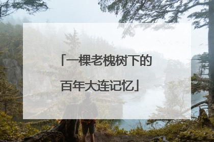 一棵老槐树下的百年大连记忆