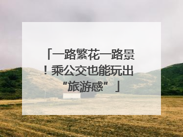 一路繁花一路景！乘公交也能玩出“旅游感”