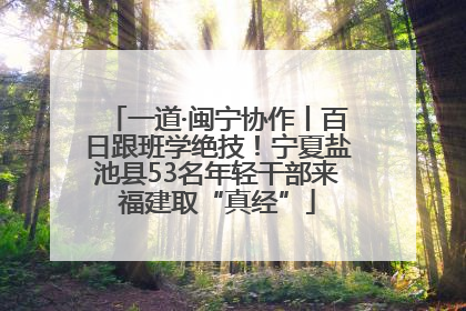 一道·闽宁协作丨百日跟班学绝技！宁夏盐池县53名年轻干部来福建取“真经”