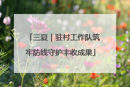 三夏｜驻村工作队筑牢防线守护丰收成果