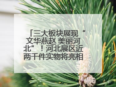 三大板块展现“文华燕赵 美丽河北”！河北展区近两千件实物将亮相深圳文博会