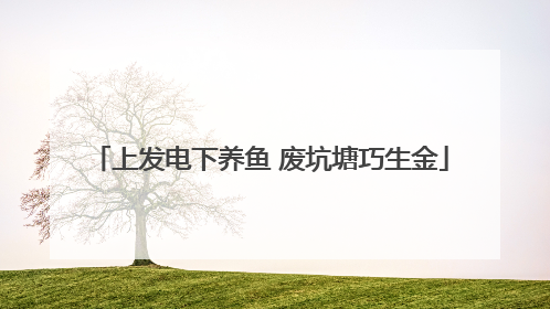 上发电下养鱼 废坑塘巧生金