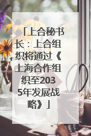 上合秘书长：上合组织将通过《上海合作组织至2035年发展战略》