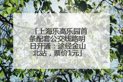 上海乐高乐园首条配套公交线路明日开通：途经金山北站，票价1元
