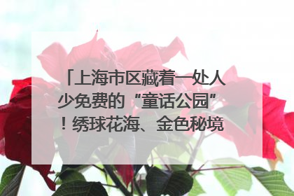 上海市区藏着一处人少免费的“童话公园”！绣球花海、金色秘境……地铁直达→